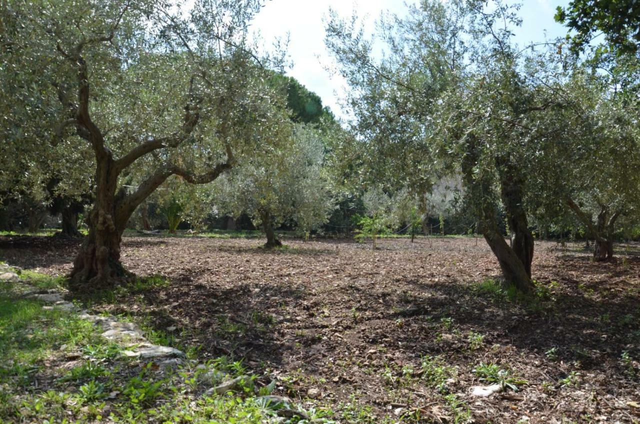 Villa Alchea Locazione Turistica Modica Buitenkant foto
